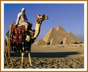 Camel rider before the Pyramids of Giza